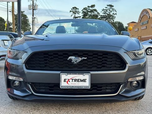 Used 2017 Ford Mustang Premium w/ Equipment Group 201A RWD image 2