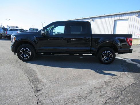 Used 2023 Ford F150 XLT w/ Equipment Group 302A High image 8