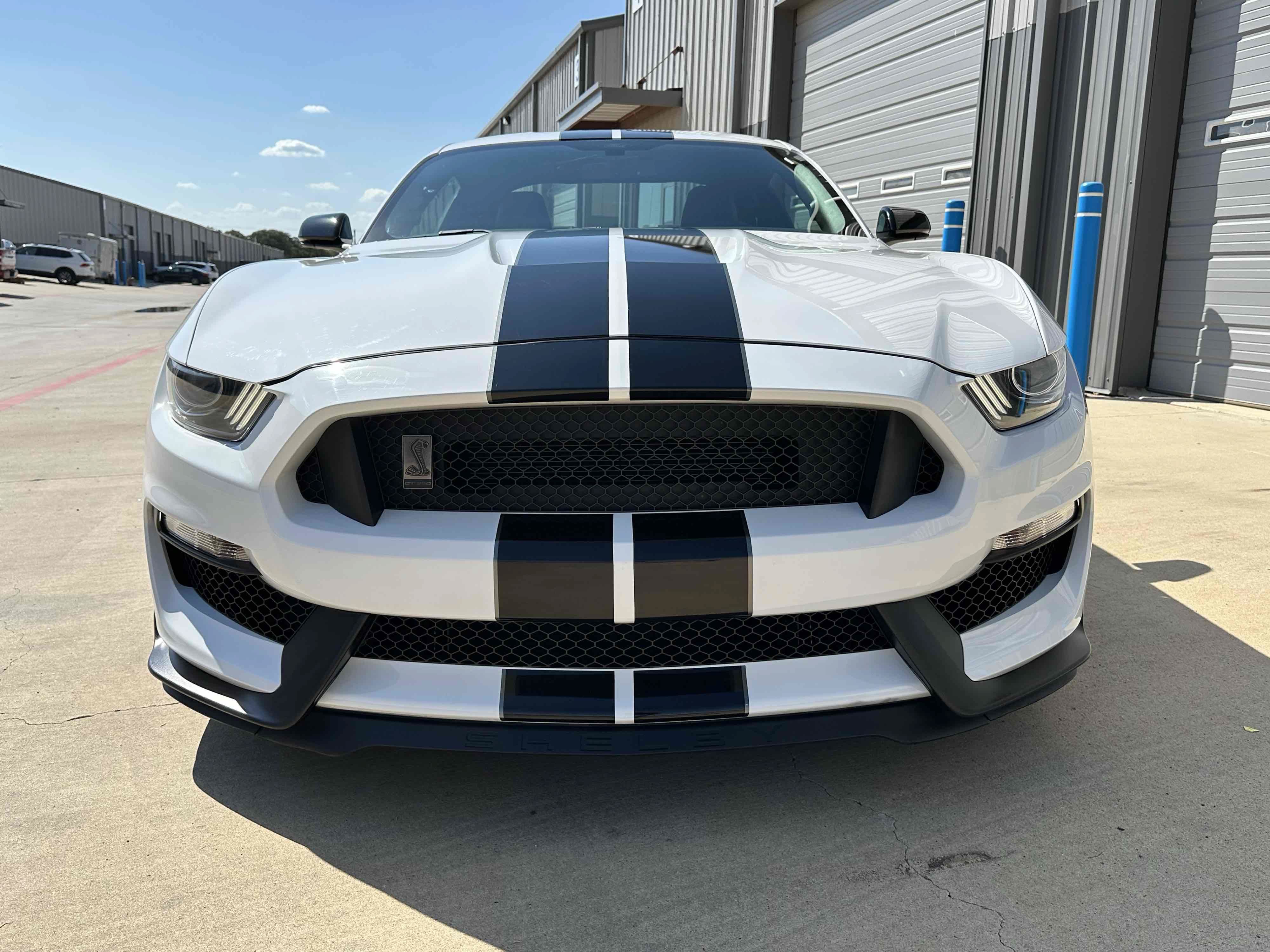 Used 2019 Ford Mustang Shelby GT350 w/ Technology Package RWD image 13