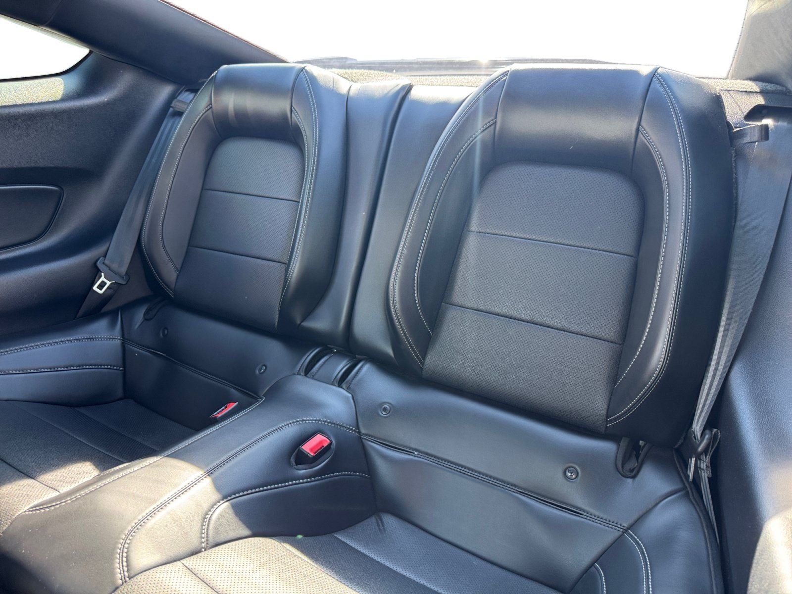 Used 2020 Ford Mustang GT Premium w/ Equipment Group 401A RWD image 13