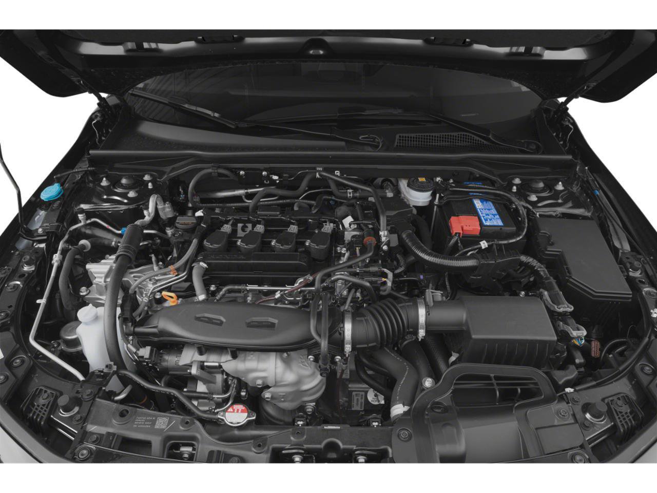 Used 2024 Honda Civic Touring image 7