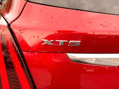 Used 2024 Cadillac XT5 Premium Luxury AWD/4WD image 7