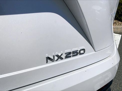 Used 2024 Lexus NX 250 FWD w/ Cold Area Package image 10