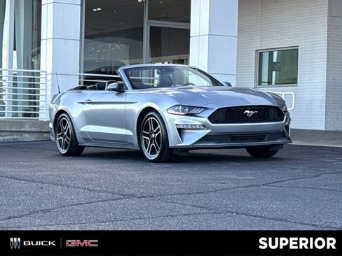 Used 2023 Ford Mustang Premium image 1