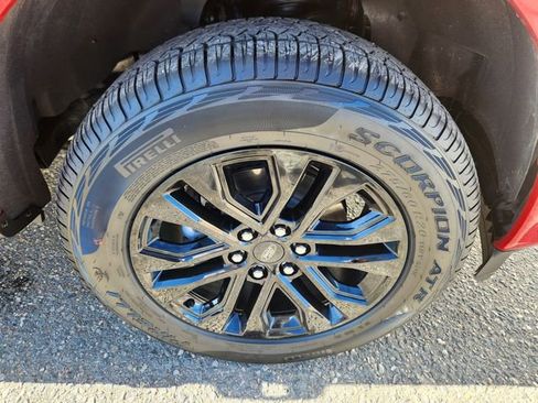 New 2025 Ford F150 XLT w/ Equipment Group 303A High image 19