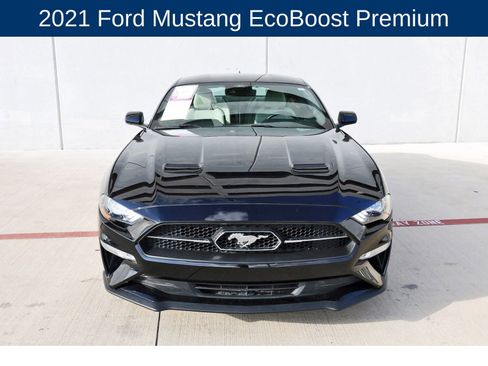 Used 2021 Ford Mustang Premium w/ Pony Package image 2