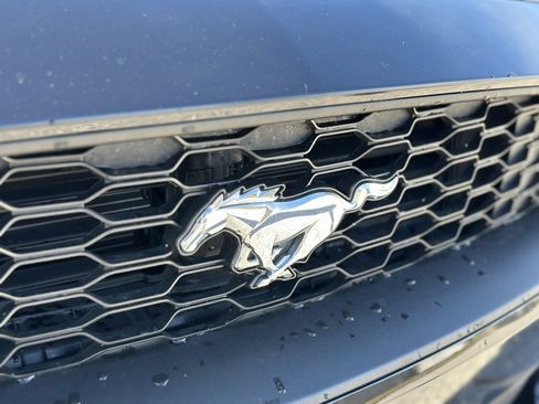 Used 2018 Ford Mustang Premium w/ Equipment Group 201A image 11