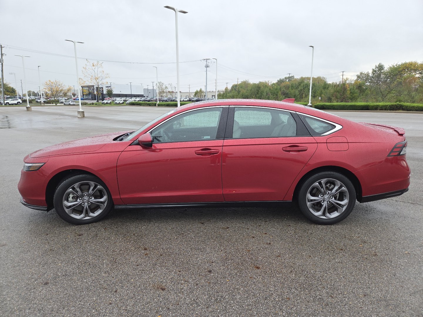 Used 2024 Honda Accord EX-L image 16