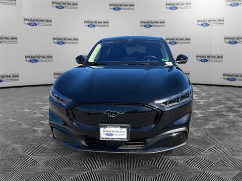 New 2025 Ford Mustang Mach-E Premium image 8