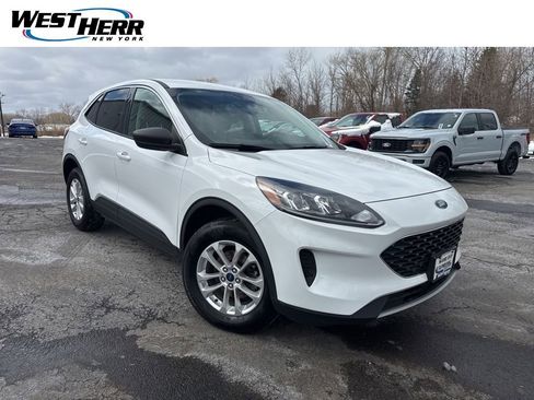 Used 2022 Ford Escape SE w/ Convenience Package image 1