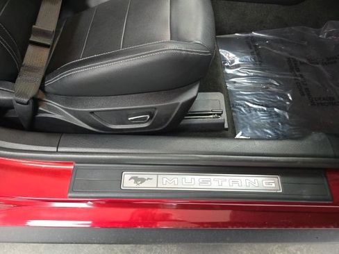 Used 2017 Ford Mustang Premium w/ Wheel & Stripe Package RWD image 6