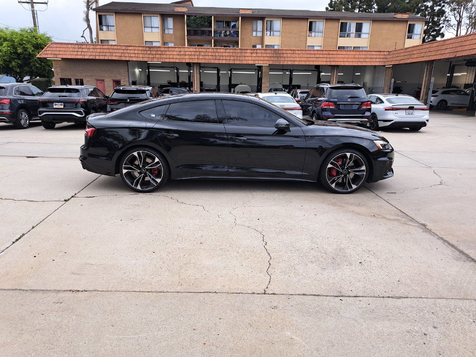 Used 2024 Audi S5 Premium Plus w/ Premium Plus Package AWD/4WD image 4