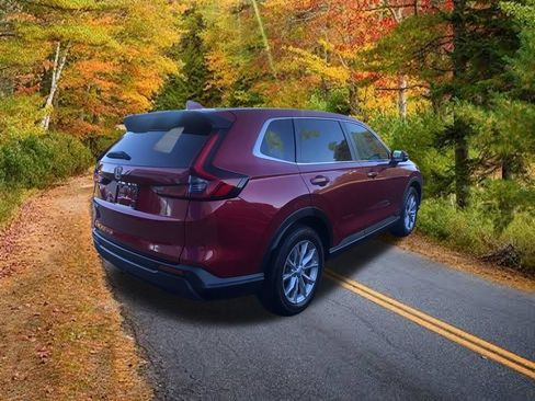 Certified 2024 Honda CR-V EX-L image 13