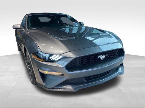 Used 2022 Ford Mustang Coupe w/ Equipment Group 101A image 2