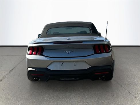Used 2024 Ford Mustang Premium image 6
