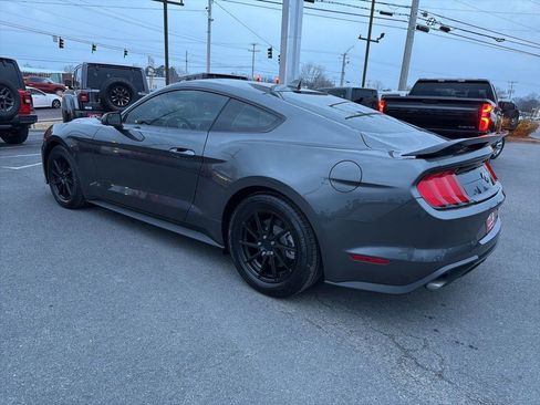 Used 2020 Ford Mustang EcoBoost image 4