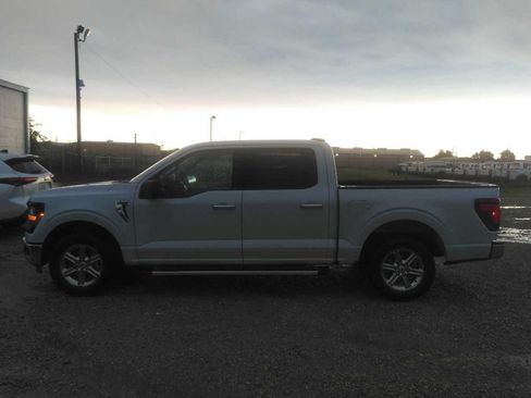 Used 2025 Ford F150 XLT w/ Equipment Group 301A Standard RWD image 3