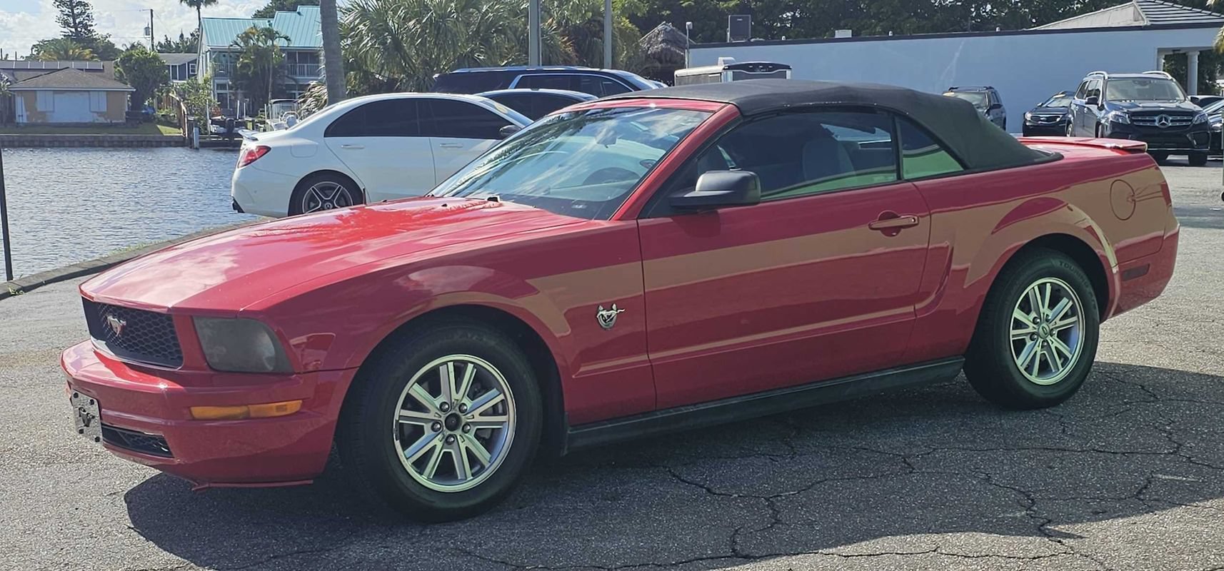 Used 2009 Ford Mustang Premium RWD image 1