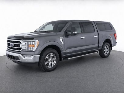 Used 2023 Ford F150 XLT w/ Equipment Group 302A High