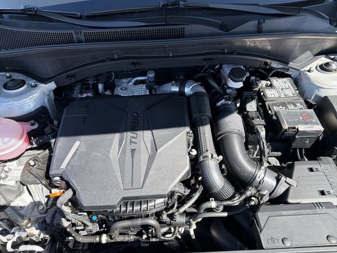 Used 2023 Hyundai Santa Fe Calligraphy w/ Cargo Package image 29