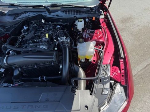 New 2025 Ford Mustang Premium image 34