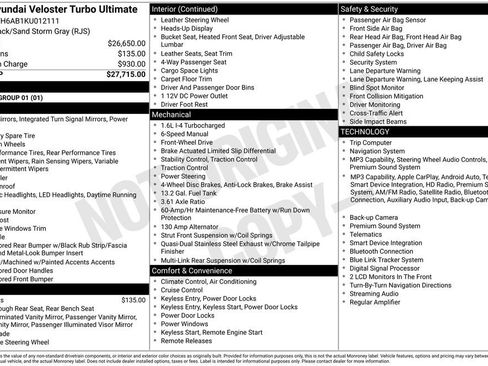 Used 2019 Hyundai Veloster Turbo Ultimate FWD image 13
