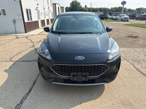 Used 2021 Ford Escape SE w/ Convenience Package AWD/4WD image 6