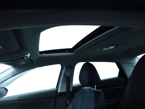 New 2025 Hyundai Elantra Limited image 21