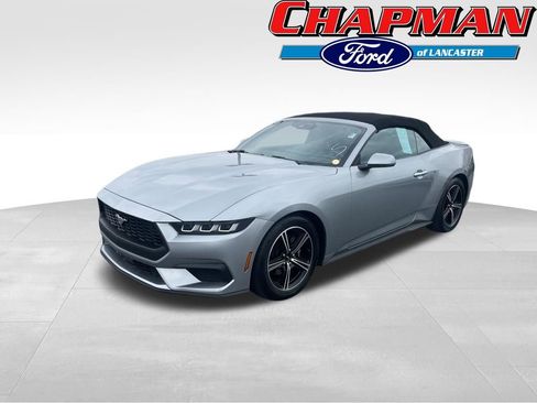 Certified 2024 Ford Mustang Premium image 1