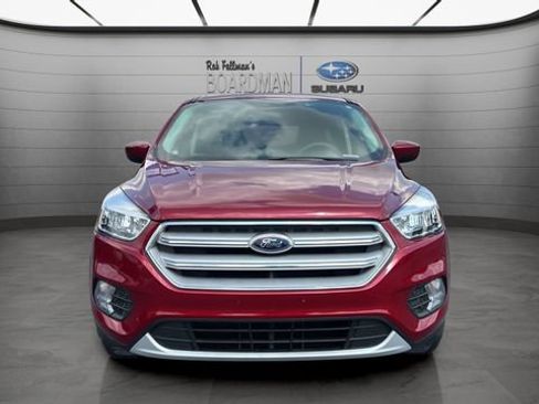 Used 2019 Ford Escape SE AWD/4WD image 12