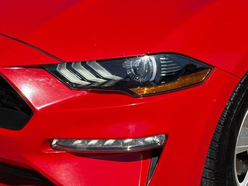 Used 2019 Ford Mustang Convertible RWD image 4