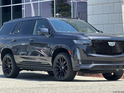 Certified 2024 Cadillac Escalade Sport Platinum w/ LPO, ONYX Package