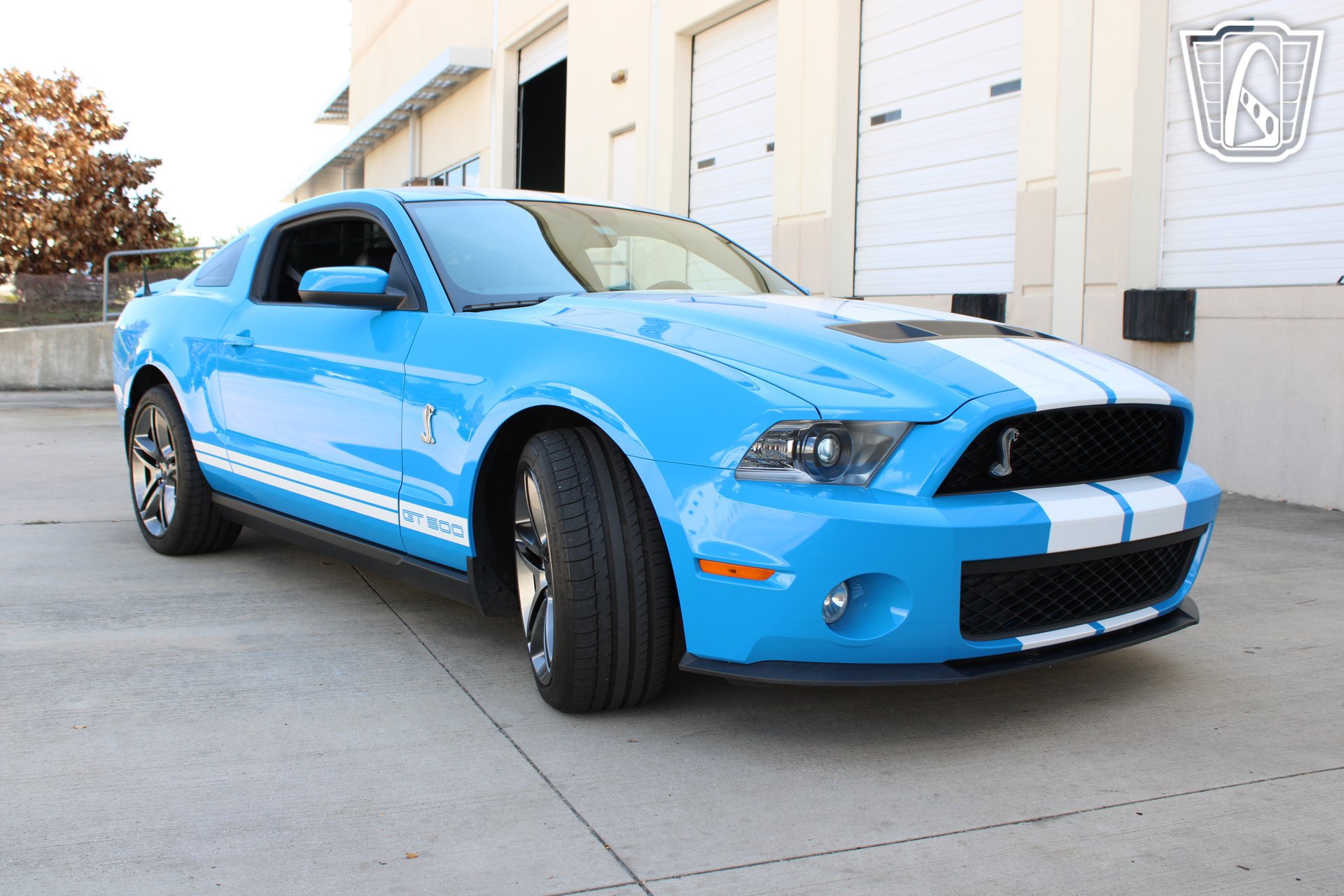 Used 2010 Ford Mustang Shelby GT500 RWD image 14