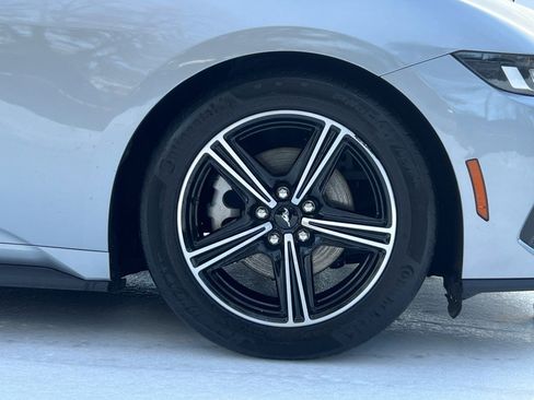 Used 2024 Ford Mustang Premium image 7
