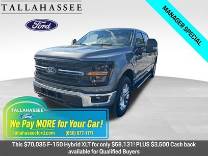 New 2025 Ford F150 XLT w/ Equipment Group 302A MID