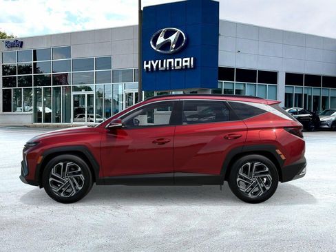 New 2026 Hyundai Tucson Limited AWD/4WD image 3