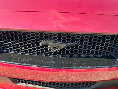 Used 2018 Ford Mustang GT Premium w/ Equipment Group 401A RWD image 12