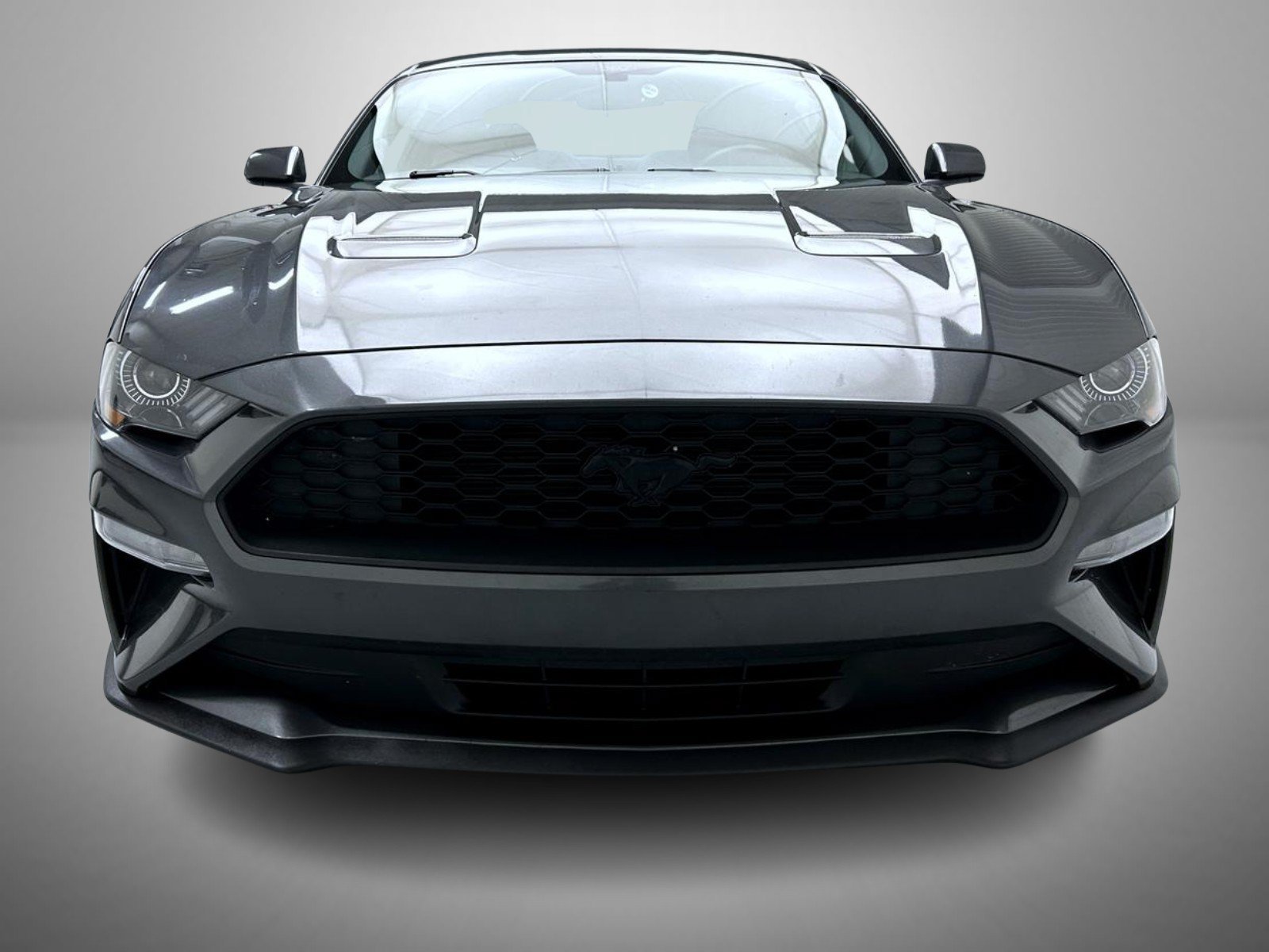 Used 2019 Ford Mustang Coupe w/ Black Accent Package RWD image 2