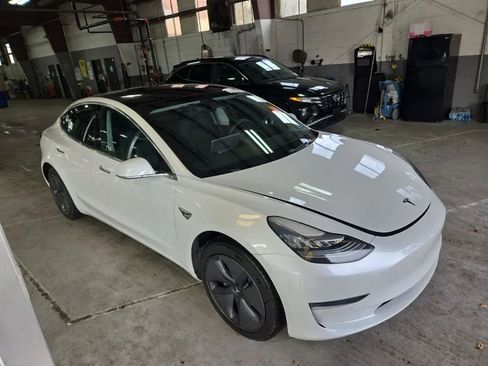 Used 2019 Tesla Model 3 Standard Range Plus image 2