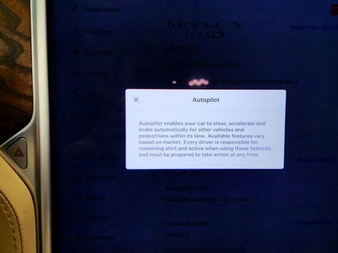 Used 2017 Tesla Model X 100D image 15