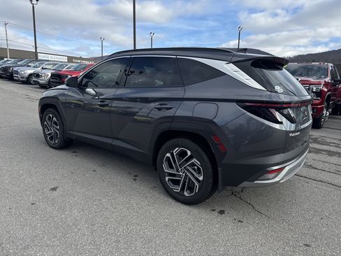 Used 2025 Hyundai Tucson Limited image 6