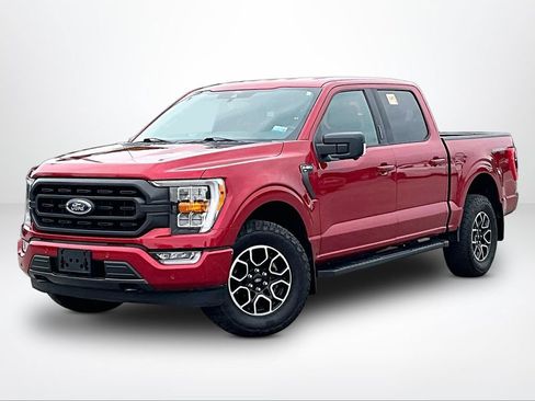 Used 2021 Ford F150 XLT w/ Equipment Group 302A High AWD/4WD image 2