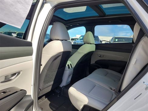 New 2026 Hyundai Tucson Limited image 5