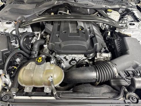 Used 2019 Ford Mustang Coupe w/ Ecoboost Performance Package RWD image 8
