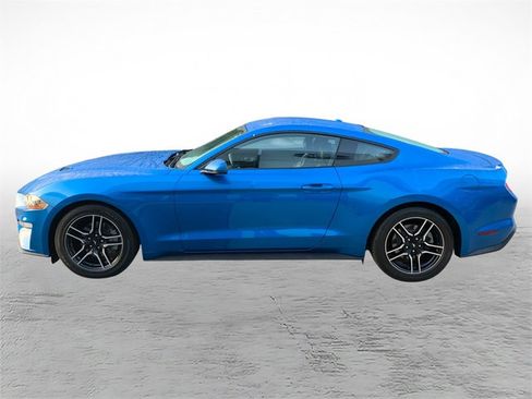 Used 2019 Ford Mustang Premium w/ Equipment Group 201A RWD image 5