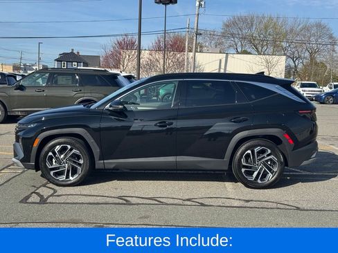 Used 2025 Hyundai Tucson Limited image 2