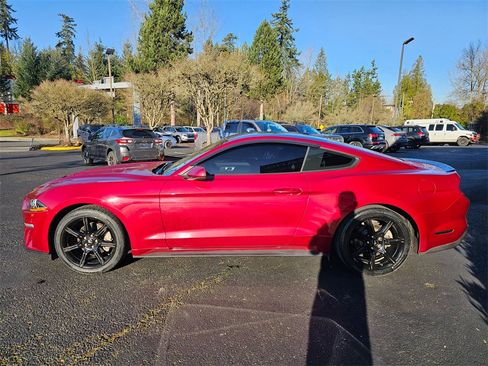 Used 2019 Ford Mustang EcoBoost w/ Ford Safe & Smart Package image 4