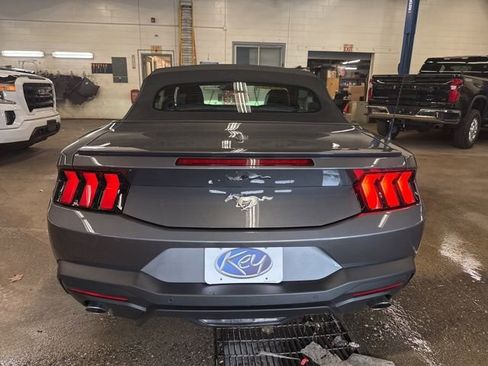 Used 2025 Ford Mustang Premium RWD image 5
