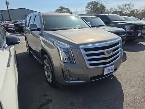 Used 2019 Cadillac Escalade Luxury image 3