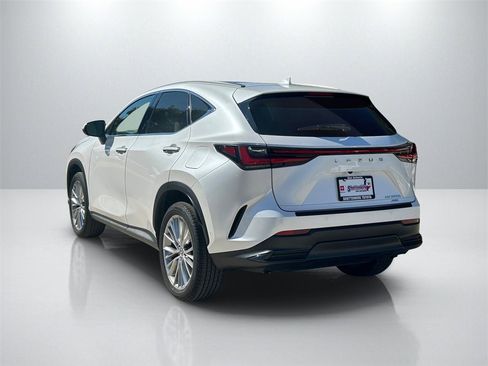 Used 2025 Lexus NX 300h AWD w/ Luxury Package image 7
